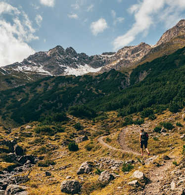 Heilkraft der Alpen