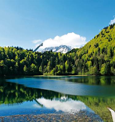 Kühle Touren für heiße Tage: Freibergsee in Bayern