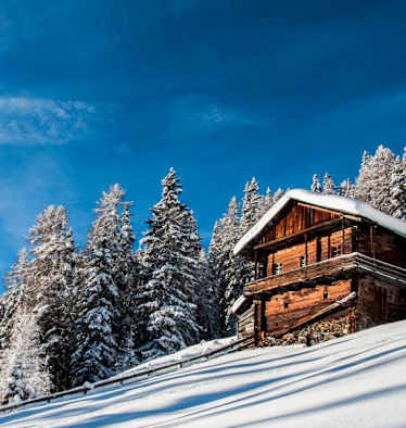 Auf den Gabesitten in Osttirol: Mitterwurzenalm