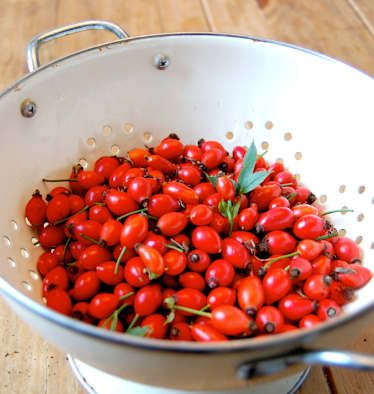 Selbstgemacht: Hagebutten-Ketchup