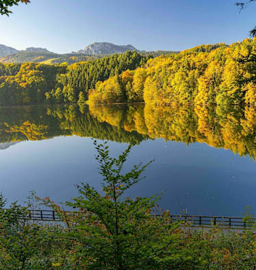 Herbst am Höglwörther See im Rupertiwinkel mit den Gipfeln des Hochstaufen und Zwiesel im Hintergrund