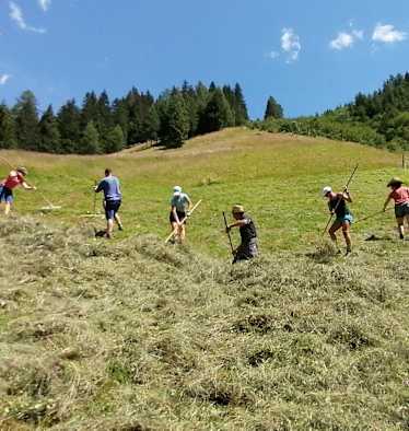 Menschen machen auf einer Bergwiese Heu