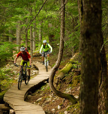 Mountainbiken Forststraßen