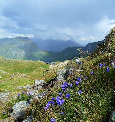 Blick auf die Fillmoor-Standschützenhütte am Karnischen Kamm