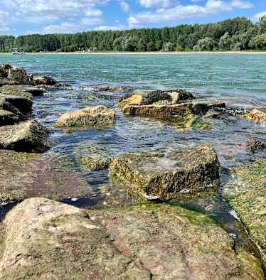 Am Rhein