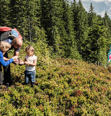 Mit Kindern Wandern