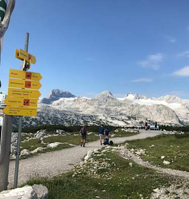 Am Krippenstein mit Blick auf den Dachsteingletscher.