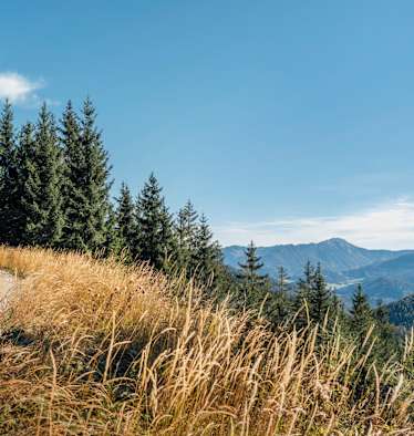Auf und ab in den Ybbstaler Alpen