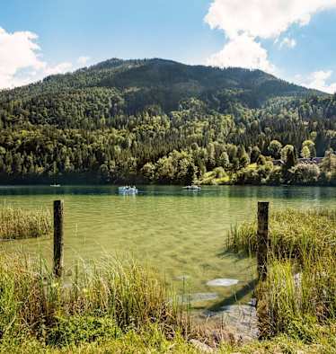 Der smaragdfarbene Lunzer See umgeben von saftig grünen Wäldern