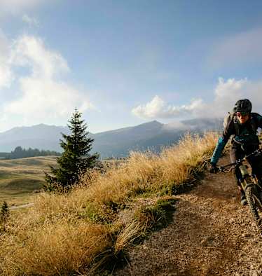 MTB Fair-Play