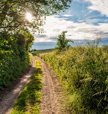 Der Märkische Landweg