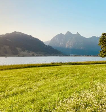 Morgenstimmung am Sihlsee im Kanton Schwyz