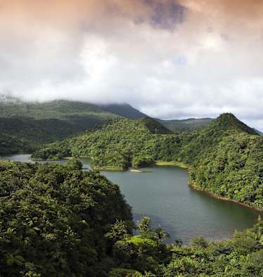 Dominica Wandern Trails