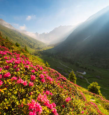 Frühling in den Bergen Italiens, Lombardei