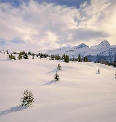 Unberührte Natur und feinste Winterlandschaft in den Albula Alpen, Graubünden