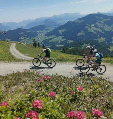 mtber_am_schatzberg_mit_blick_ins_tal_fg_tl_rechte_wildschonau_tourismus_1