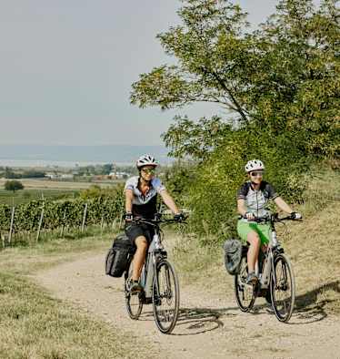 neusiedler_see_biken