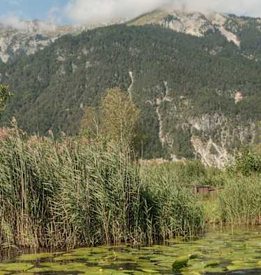 Pressegger See
