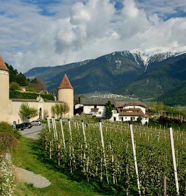 Schloss Goldrain
