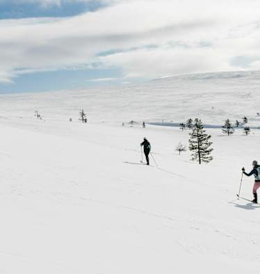 Langlaufen Lappland