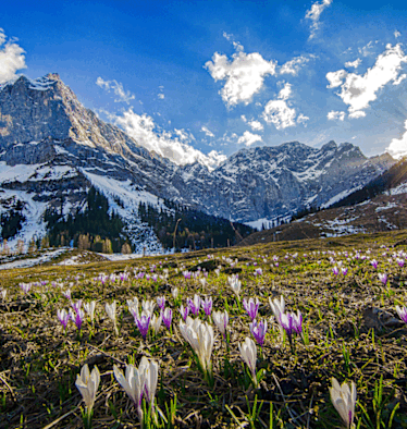Frühling im Karawendel