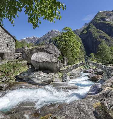 Bavonatal