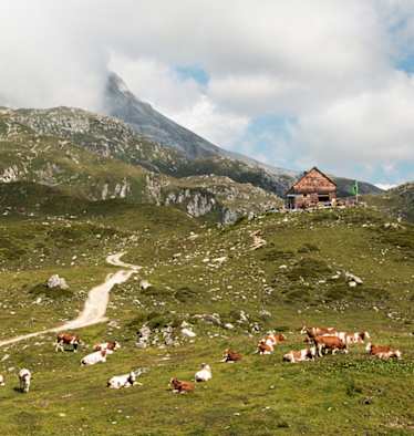 Vegane und vegetarische Hütten - Franz Fischer Hütte