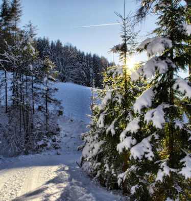 Winterwanderweg Vierawasch: Wandern bei Mühlbach am Hochkönig in Salzburg