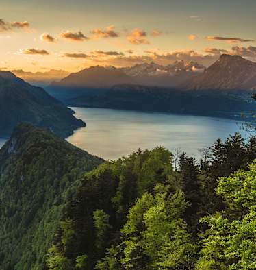 Waldstätter Weg: Von Brunnen nach Vitznau – hier mit Blick auf den Vierwaldstättersee