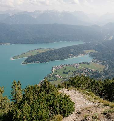 Blick vom Herzogstand auf den Walchensee in Bayern.