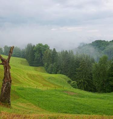 Thurgau