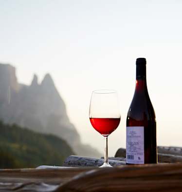 Wein am Berg