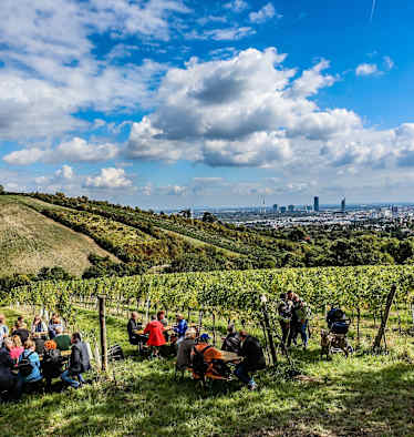 Wiener Weinwandertag