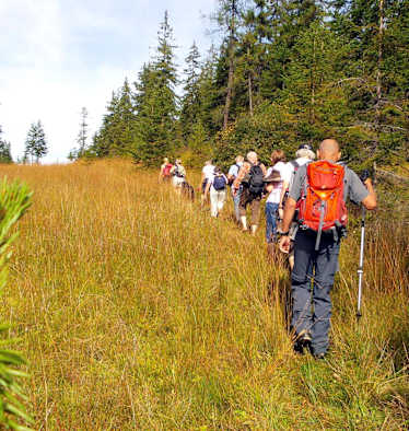 Wildschönau: Moorwanderung in Tirol