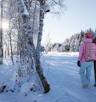 Winterwandern in der Region Seefeld