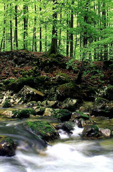 Plätschern ist der ständige Begleiter auf dieser Wanderung