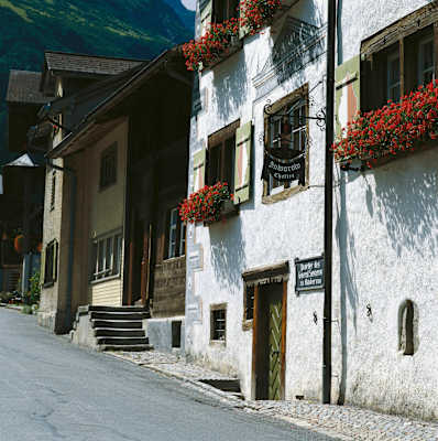 Elm Glarus