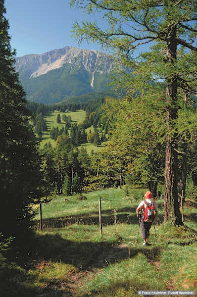 Der Schneebergblick vom Abstieg über den Südwestrücken des Schober.
