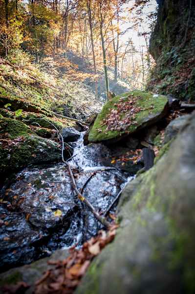 Wunderbare Herbststimmung in der Klamm