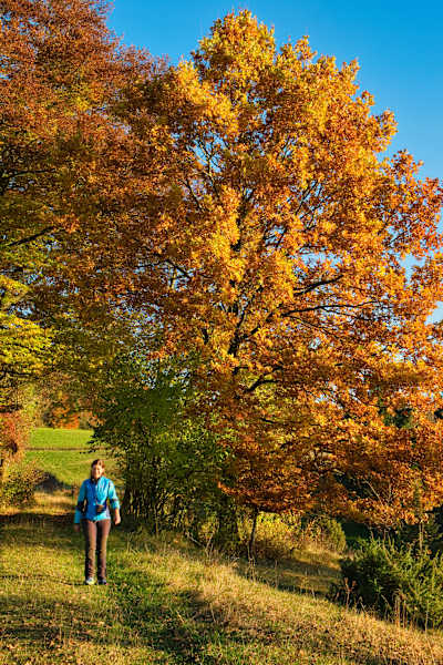 Herbstwandern im Schandental auf der Schwäbischen Alb