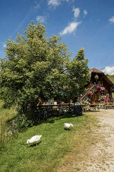 Mitten im Grünen steht die Alm