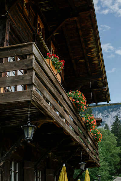 Blick ins Ammergauer Gebirge
