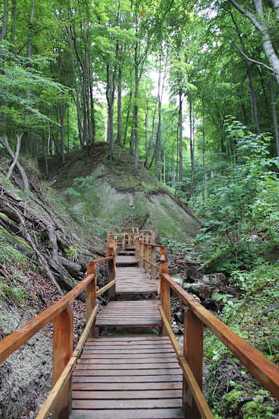 Kollicker Bach