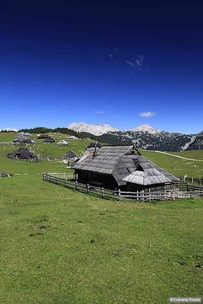 Es gibt viele Gründe, der Velika Planina einen Besuch abzustatten – zwei davon sind: die fantastische Aussicht in die Felsarena der zentralen Steiner Alpen und die schönen alten Almhütten.