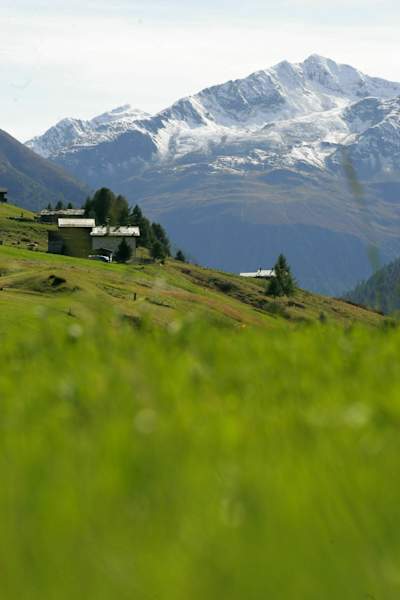 Alpine Landschaft