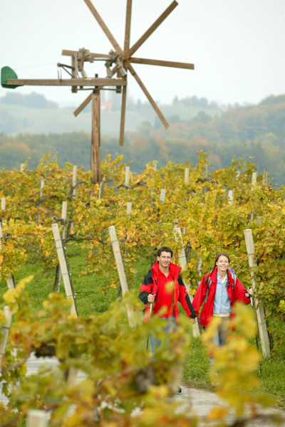 WEINwandern - direkt durch die Weinberge an der Südsteirischen Weinstraße