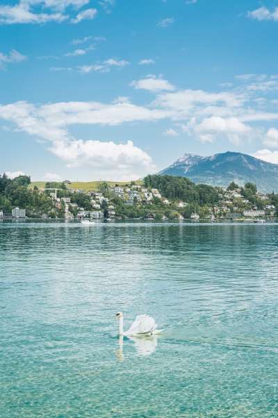 Aussicht auf den Vierwaldstättersee und Rigi