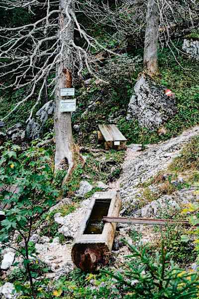 Brunnen und Rastbank im Wald am Weg zum Hochleckenhaus