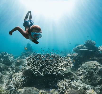 Lennox beim Tauchen auf Sumbawa