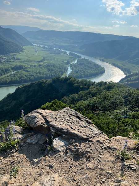 Aussicht von der Kanzel auf die Donau in der Wachau